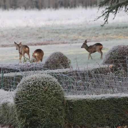 Chateau De Praslins Bed & Breakfast Nogent-sur-Vernisson ภายนอก รูปภาพ