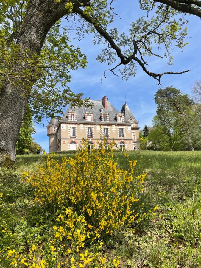 Chateau De Praslins Bed & Breakfast Nogent-sur-Vernisson ภายนอก รูปภาพ