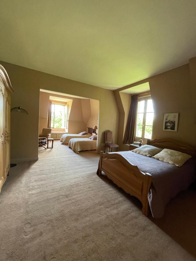 Chateau De Praslins Bed & Breakfast Nogent-sur-Vernisson ภายนอก รูปภาพ