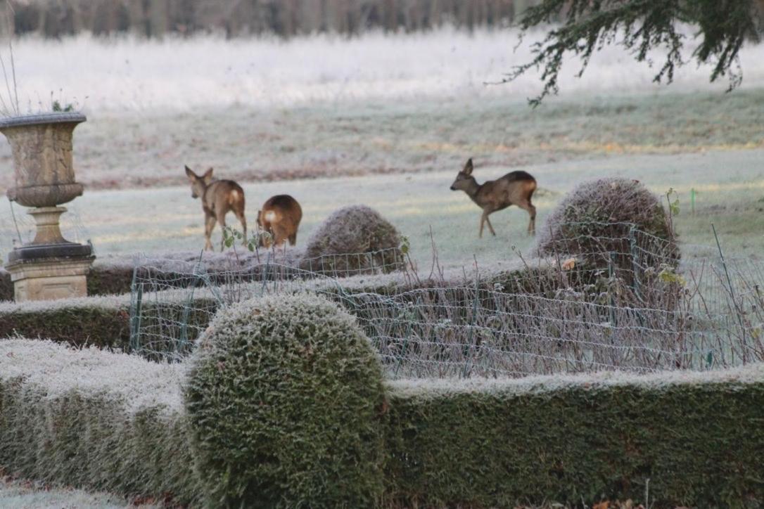 Chateau De Praslins Bed & Breakfast Nogent-sur-Vernisson ภายนอก รูปภาพ